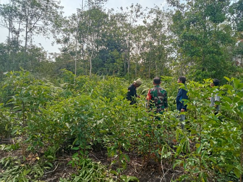 Cegah Karhutla, Serda Muherli Ajak Warga Desa Tenan Bersinergi Lewat Patroli