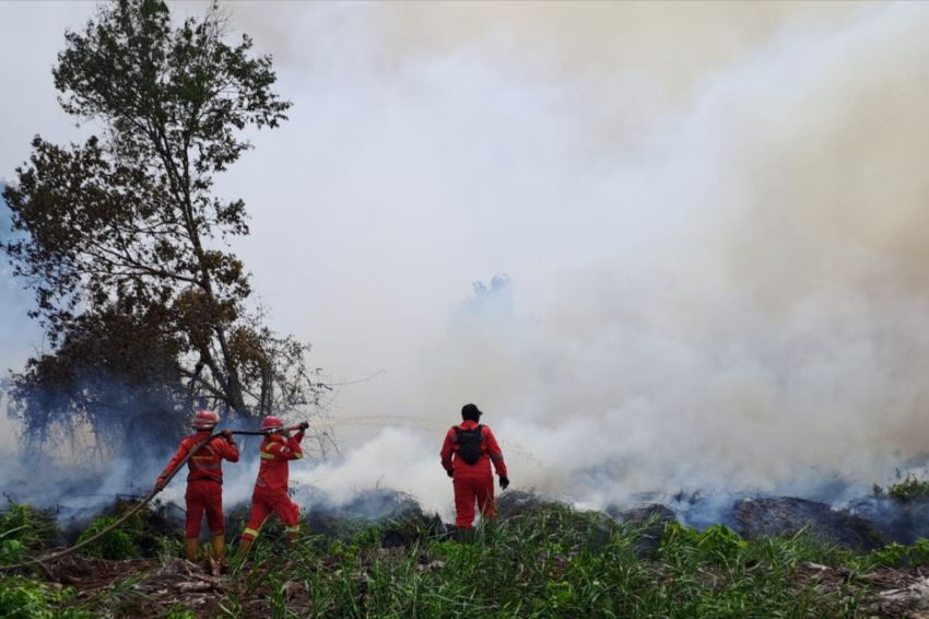 Lautan Api, Semangat Tak Padam: Potret Manggala Agni dalam Pusaran Karhutla Riau