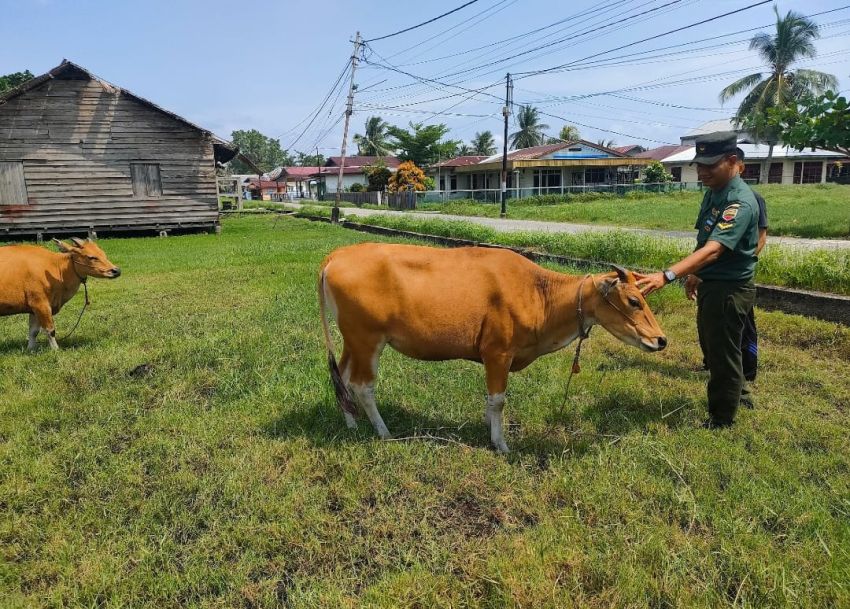 Sertu Muslim Monitoring Kesehatan Ternak Warga di Desa Tanjung Peranap