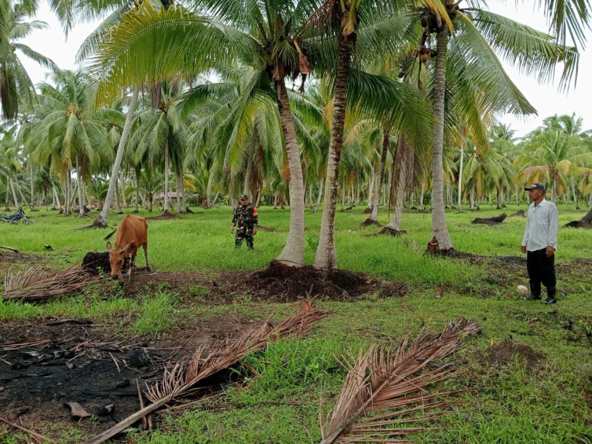 Serda Imam Subarkah Monitoring Kesehatan Ternak Warga di Desa Topang