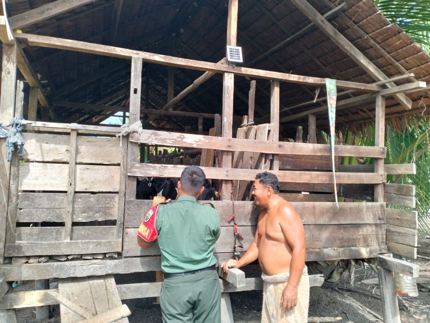 Praka James Monitoring Kesehatan Ternak Warga di Desa Penyagun