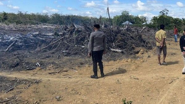 Polda Riau Tangkap Pelaku Pembakaran Lahan di Kuansing, Kapolda: Tidak Ada Toleransi!