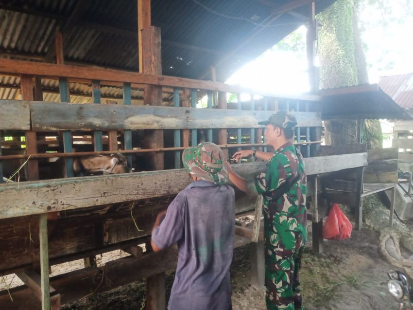 Serda Suprayetno Monitoring Ternak Warga, Cegah Wabah PMK di Desa Beting