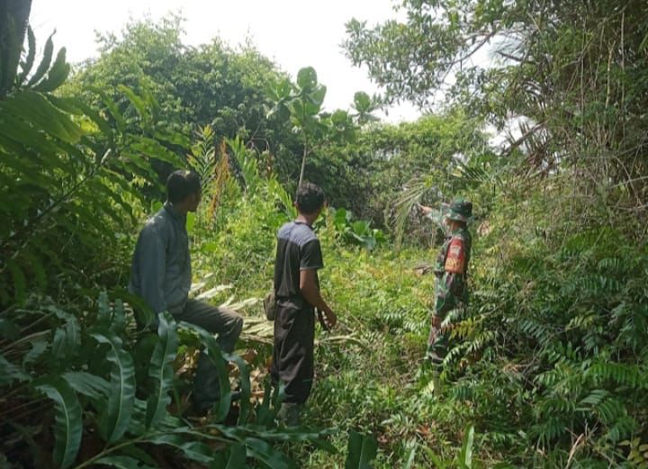 Bersinergi Cegah Karhutla, Sertu Amsyaya Bersama Warga Desa Insit Rutin Lakukan Patroli