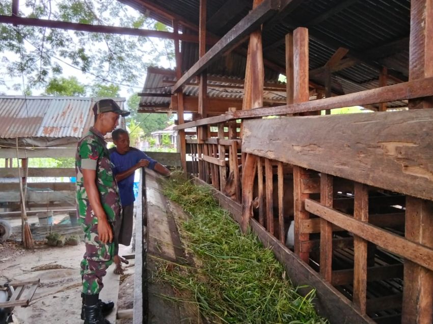 Kopda Sukarman Temui Peternak Sapi di Desa Tenggayun Raya Sebagai Upaya Cegah PMK