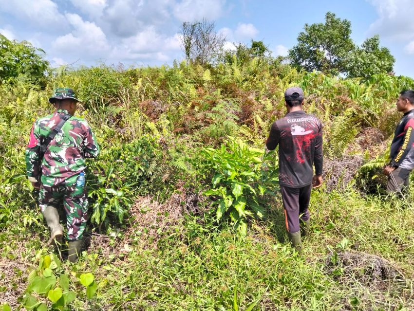Bersinergi Cegah Karhutla, Serda Lasidi Bersama Warga Desa Tanah Merah Rutin Lakukan Patroli