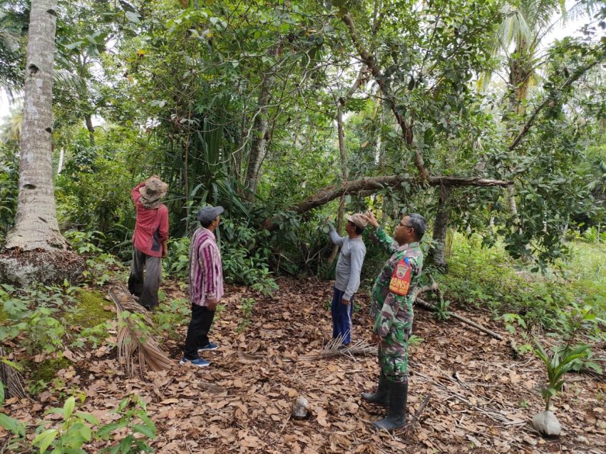 Bersinergi Cegah Karhutla, Serda Herman Bersama MPA Desa Banglas Rutin Lakukan Patroli