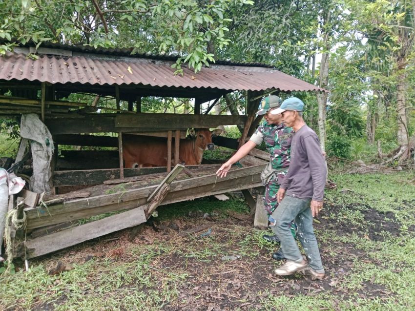 Cegah Wabah PMK, Serka E Sembiring Aktif Pantau Ternak Warga di Desa Bantar