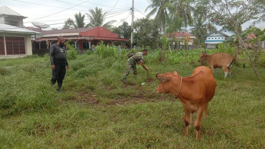 Cegah Wabah PMK, Serka A Harianja Aktif Pantau Ternak Warga di Desa Kedabu Rapat