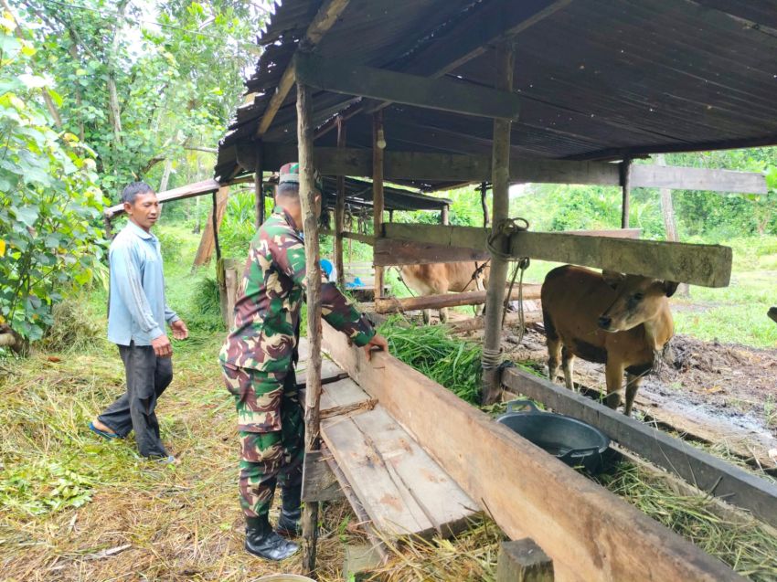 Babinsa Koramil 02 Tebingtinggi Temui Peternak Sapi di Desa Segomeng, Ada Apa?