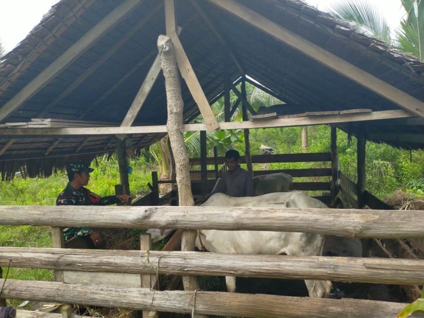 Serma Safi'i Monitoring Ternak Warga, Cegah Wabah PMK di Desa Mekong