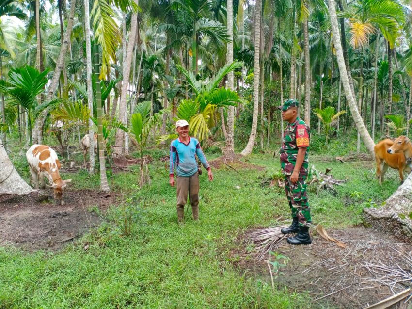 Sertu Zulkarnain Temui Peternak Sapi di Desa Mekarbaru Sebagai Upaya Cegah PMK