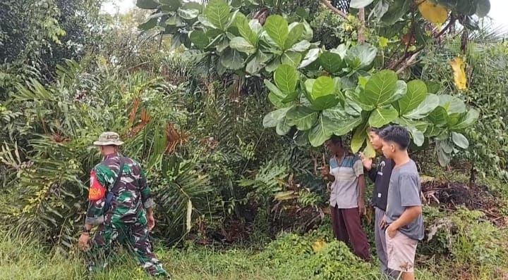 Sertu M Amri Bersama Warga Selatpanjang Selatan Gencar Patroli Karhutla