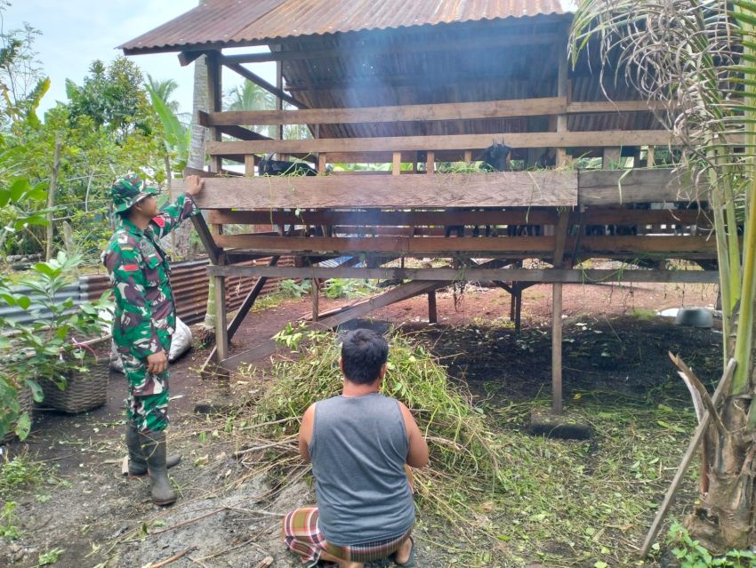 Cegah Wabah PMK, Praka James Aktif Pantau Ternak Warga di Desa Penyagun