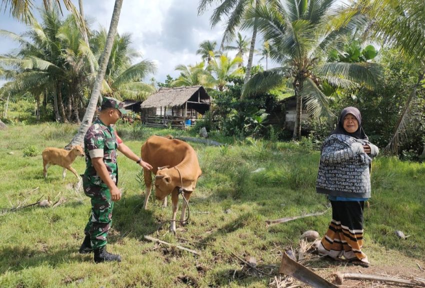 Babinsa Koramil 02 Tebing Tinggi Laksanakan Pemantauan PMK di Desa Tanjung Peranap