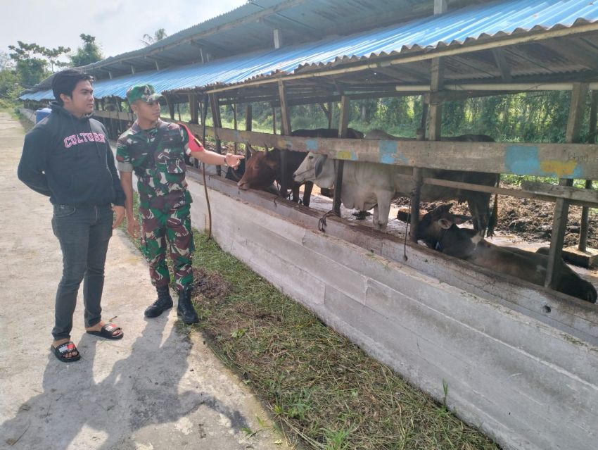 Babinsa Posramil Rangsang Pesisir Lakukan Pemantauan PMK di Desa Sendaur