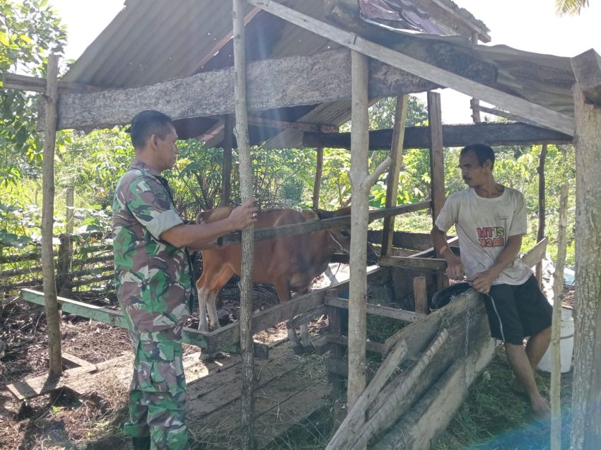 Babinsa Koramil 02 Tebing Tinggi Lakukan Pemantauan PMK di Desa Tanjung Kedabu