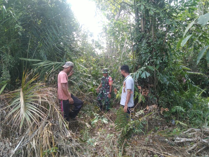 Babinsa Koramil 02/Tebing Tinggi Gelar Patroli Karhutla di Desa Bantar