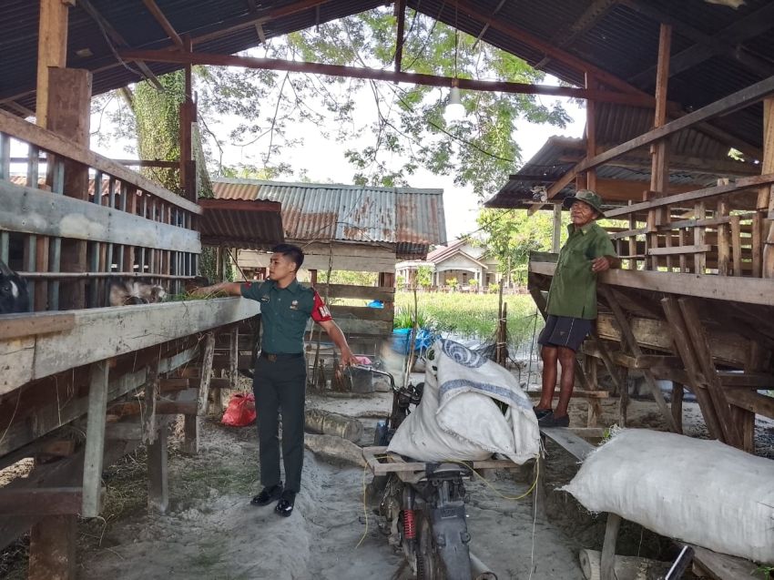 Babinsa Koramil 02 Tebing Tinggi Lakukan Pengecekan PMK di Desa Lukun, Hewan Ternak Dipastikan Sehat