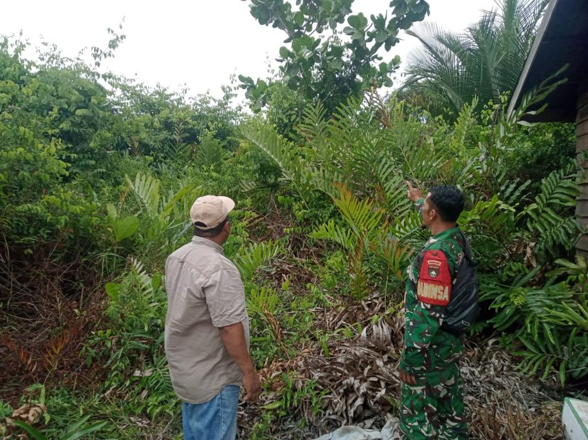 Babinsa Koramil 02/Tebing Tinggi dan Warga Desa Insit Laksanakan Patroli Karhutla