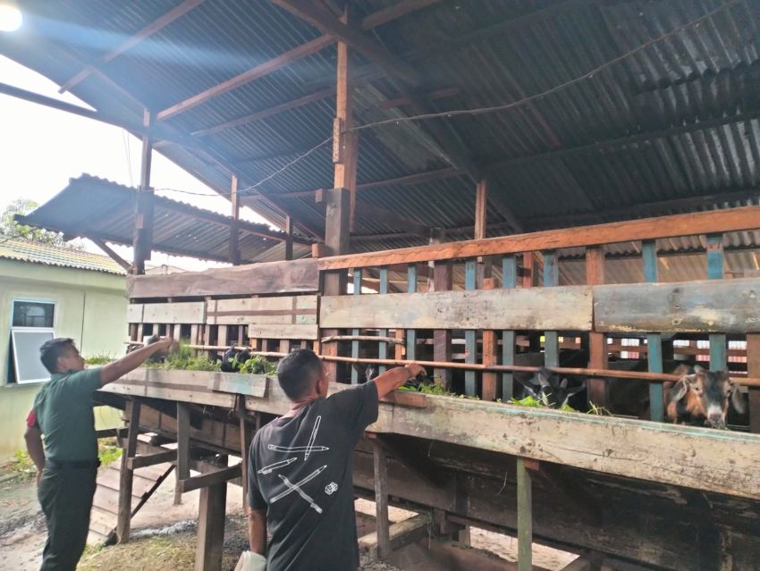 Babinsa Koramil 02/Tebing Tinggi Lakukan Pengecekan PMK pada Ternak Warga di Desa Repan