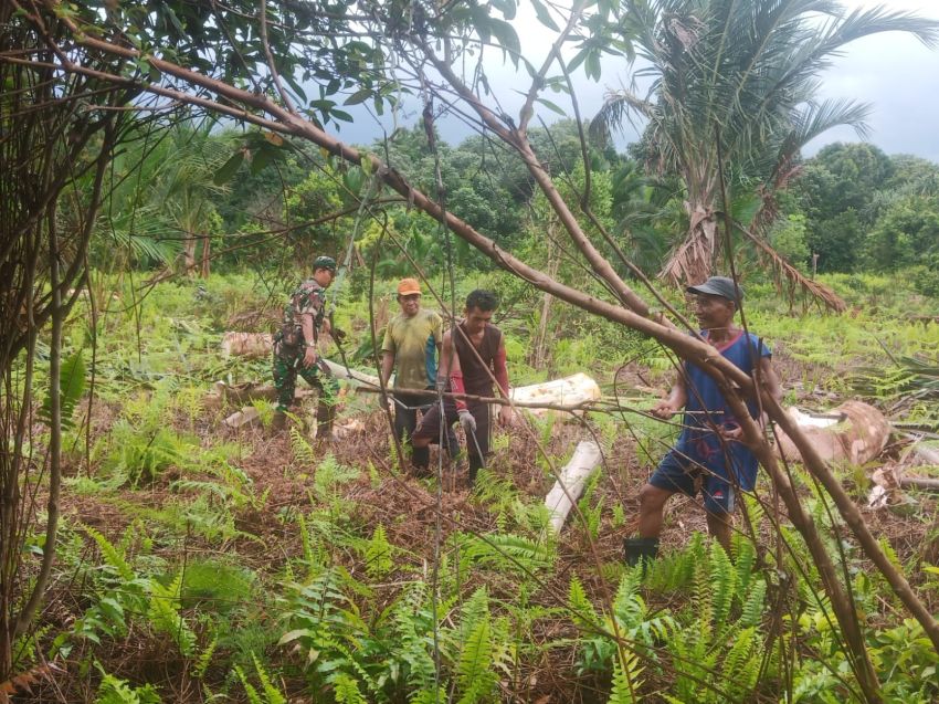 Babinsa Koramil 02/Tebing Tinggi Gelar Patroli Karhutla di Desa Sokop
