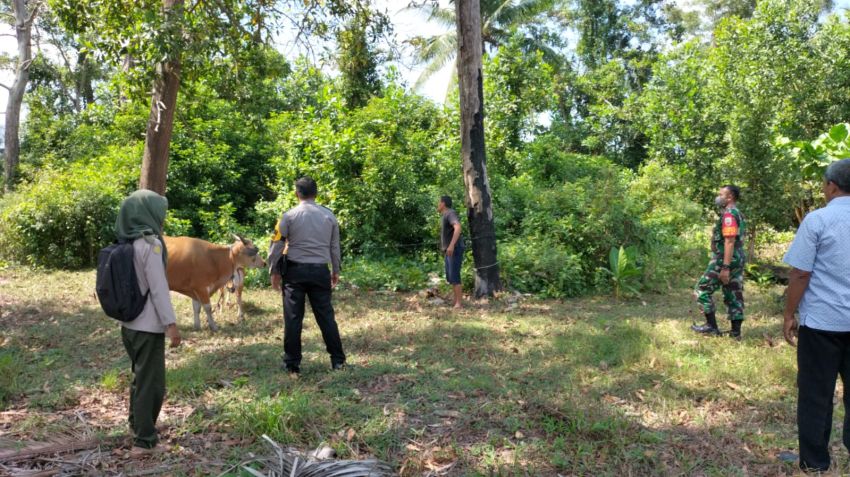 Babinsa Koramil 02/Tebing Tinggi Lakukan Pemantauan Hewan Ternak Cegah PMK di Selatpanjang Selatan