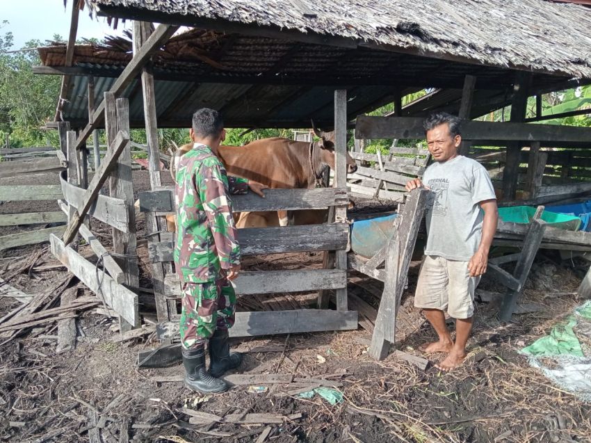 Babinsa Koramil 02/Tebing Tinggi Pantau Kesehatan Ternak di Desa Tanjung Kedabu