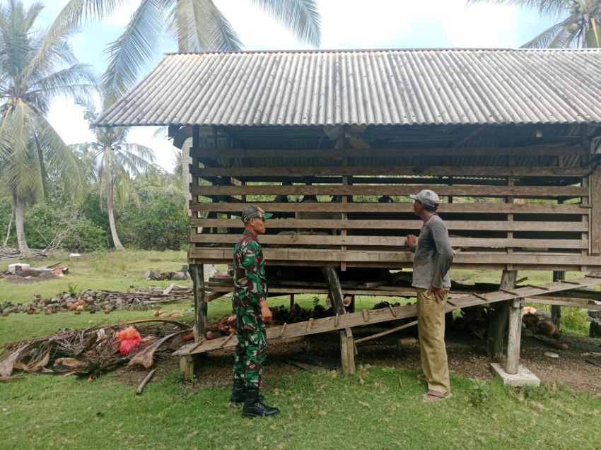 Babinsa Koramil 02/Tebing Tinggi Lakukan Pemantauan PMK di Desa Lukun, Seluruh Ternak Dalam Keadaan Sehat