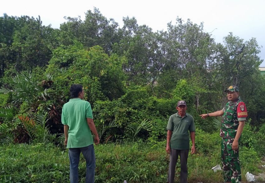Babinsa Koramil 02/Tebing Tinggi Gelar Patroli Karhutla di Desa Wonosari, Wilayah Aman