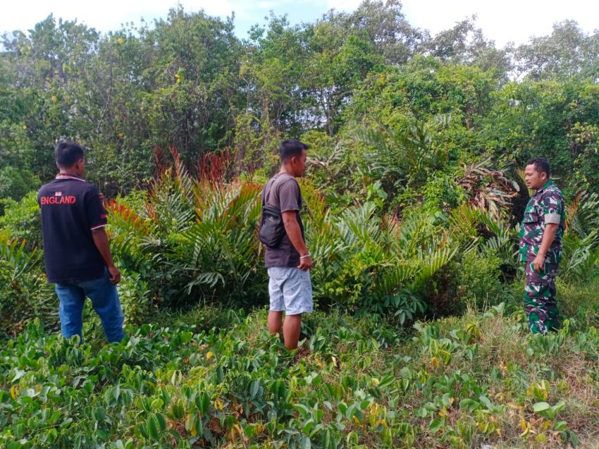 Babinsa dan MPA Sisir Selatpanjang Kota, Pastikan Wilayah Bebas Karhutla