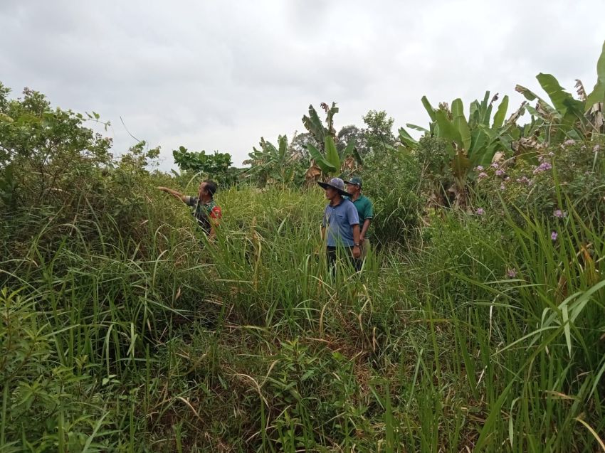 Serda Muherli Bersama MPA Gelar Patroli Karhutla di Desa Insit