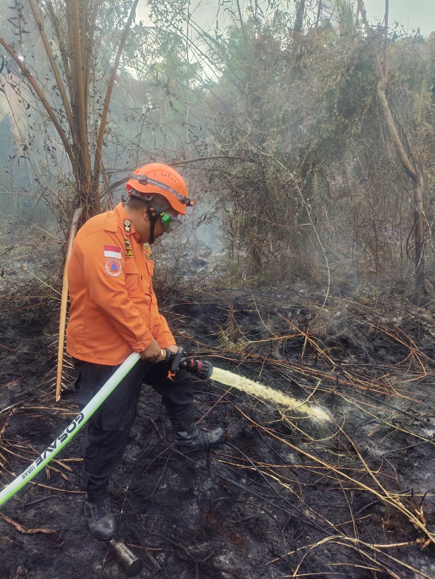 Karhutla Mulai Mengintai, Setengah Hektar Lahan di Kedaburapat Hangus Terbakar
