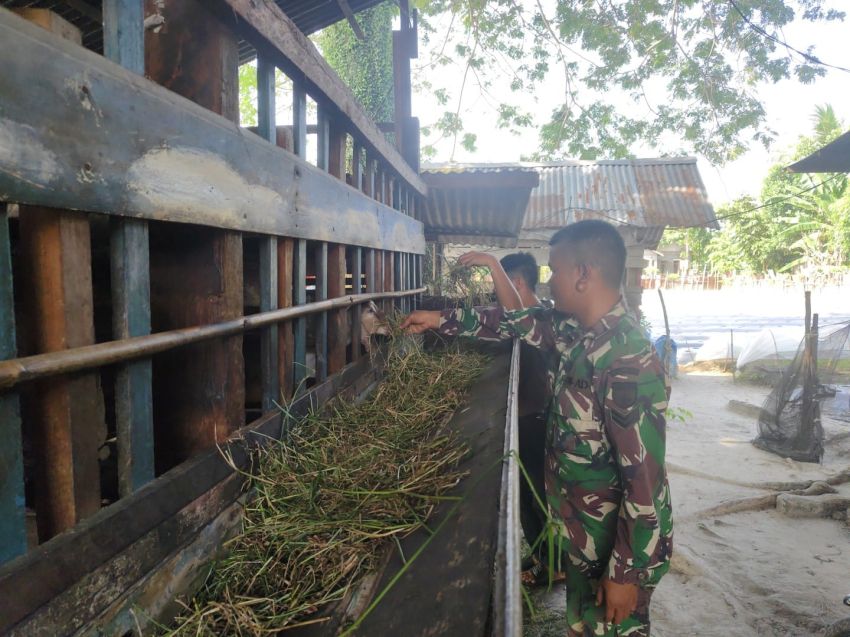 Sertu Supriandi Pantau Kesehatan Ternak Kambing di Selatpanjang Kota, Pastikan Bebas PMK