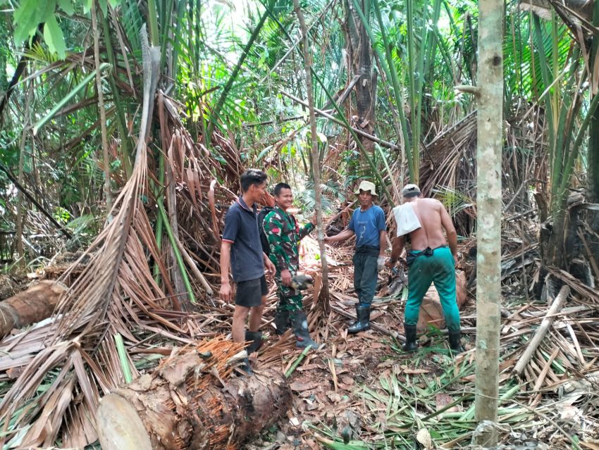 Babinsa Koramil 02/Tebing Tinggi Gelar Patroli Karhutla di Desa Gemala Sari