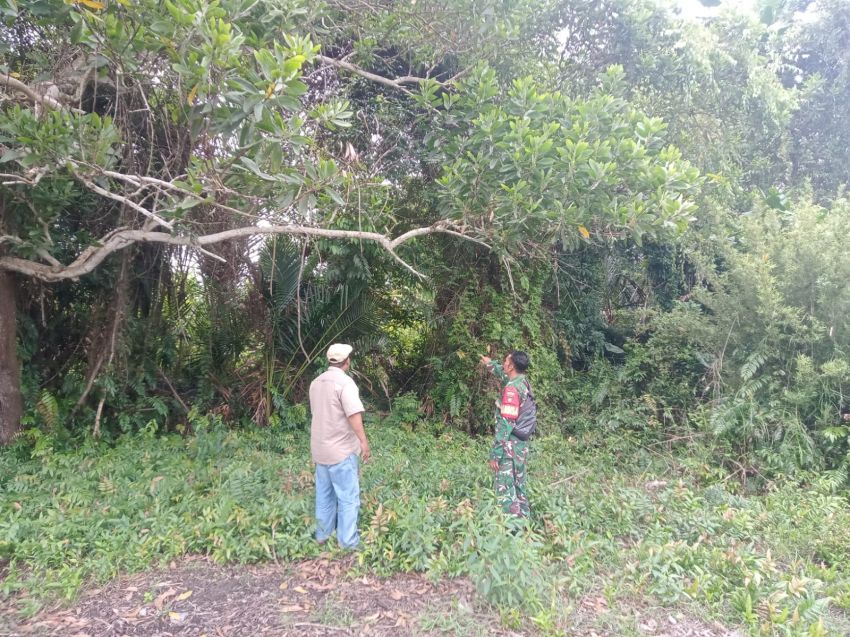 Babinsa Sertu Amsyaya Bersama Warga Patroli Karhutla di Desa Insit