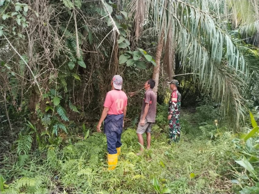 Babinsa Koramil 02/Tebing Tinggi Bersama Warga Patroli Karhutla di Desa Alahair Timur
