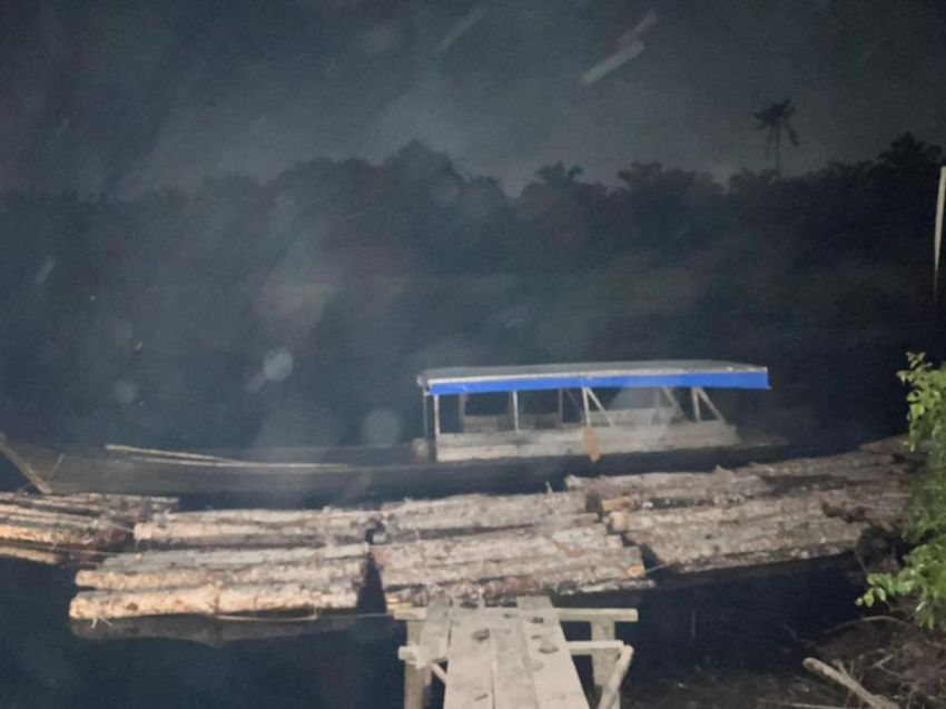 Ungkap Illegal Logging di Siak Kecil, Polres Bengkalis Amankan Tiga Terduga Pelaku