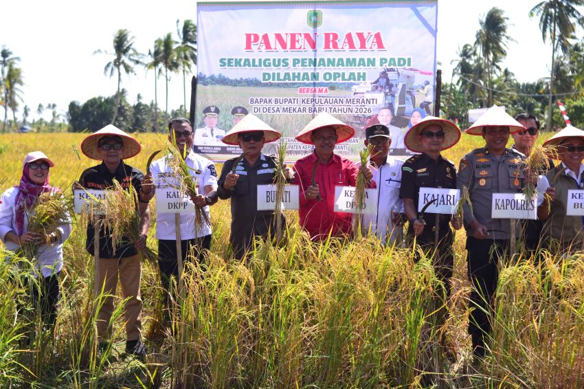 Produksi Padi di Kabupaten Kepulauan Meranti Capai 6.000 Ton per Tahun