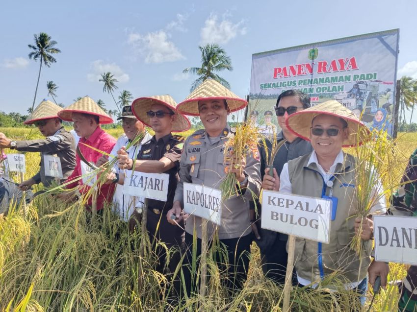 Polres Kepulauan Meranti Dukung Panen Raya dan Penanaman Padi Oplah di Rangsang Barat