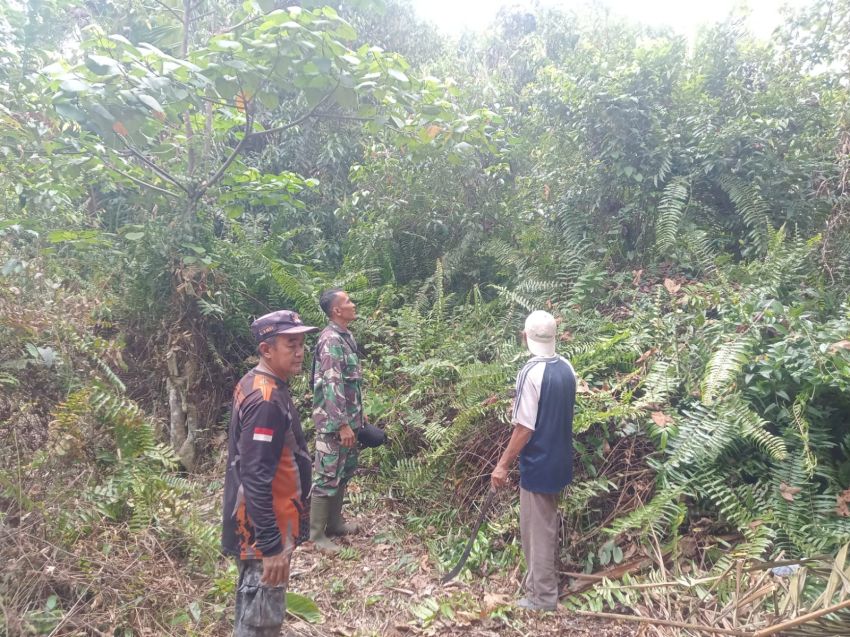 Patroli Rutin Cegah Karhutla, Sertu Amsyaya Imbau Warga Tak Bakar Lahan