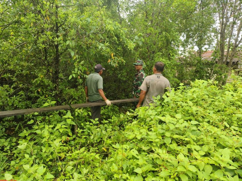 Antisipasi Kebakaran Lahan, Babinsa Koramil 02/Tebing Tinggi Gelar Patroli Rutin
