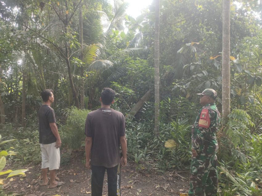 Babinsa Koramil 02/Tebing Tinggi Bersama Warga Gelar Patroli Karhutla di Desa Banglas