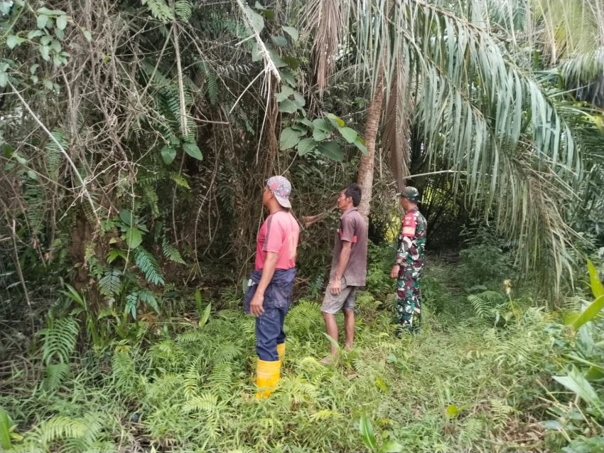 Cegah Karhutla, Babinsa Koramil 02/Tebing Tinggi Sisir Desa Alahair Timur