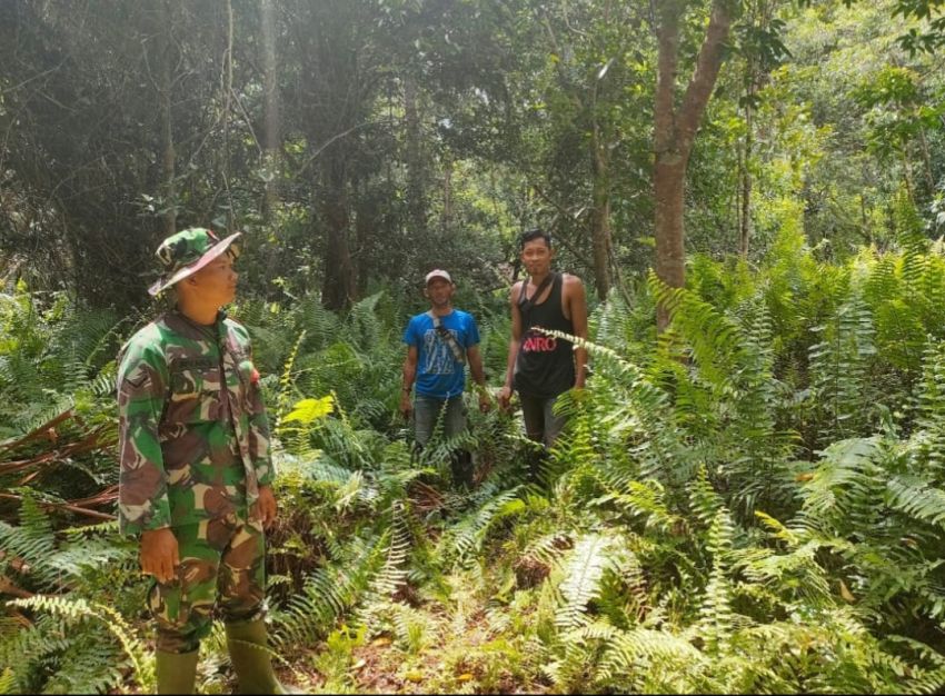 Babinsa Koramil 02/Tebing Tinggi Patroli Karhutla Bersama Warga di Desa Tanjung