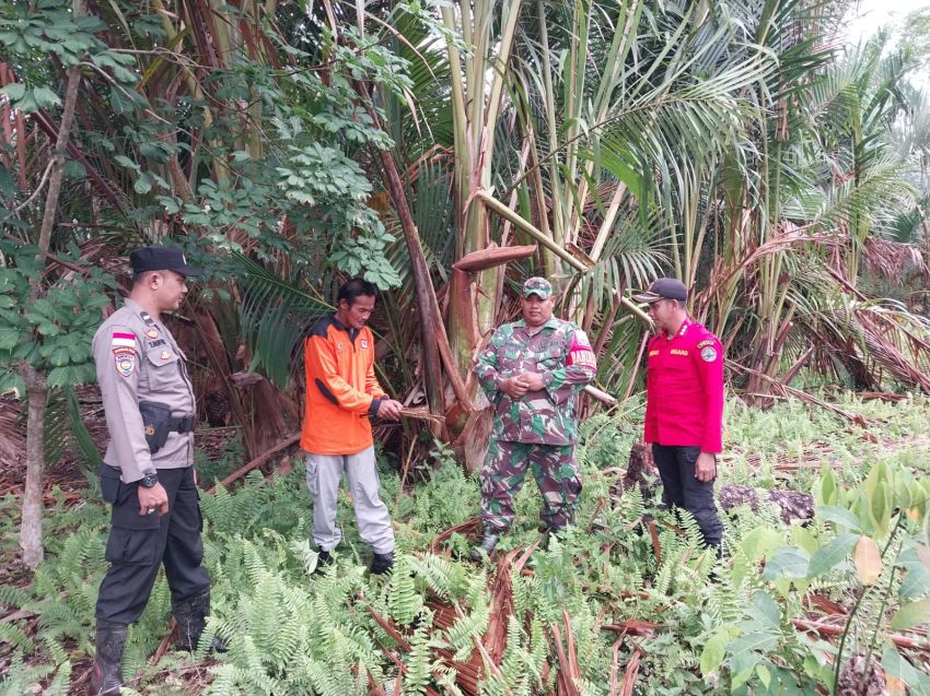 Babinsa Koramil 02/Tebing Tinggi Bersama MPA Laksanakan Patroli Karhutla di Desa Alai