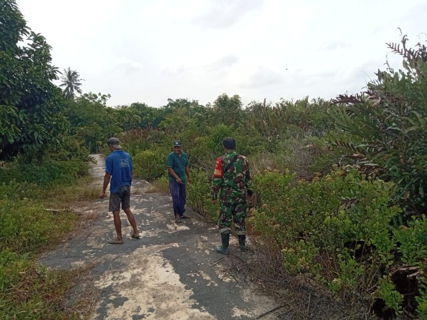 Babinsa Koramil 02/Tebing Tinggi Patroli Karhutla di Desa Insit