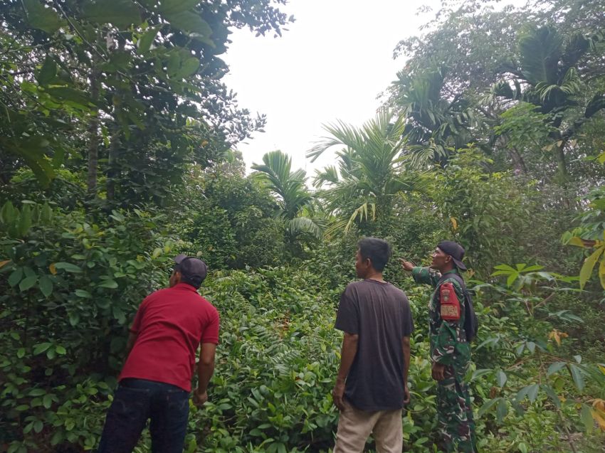 Babinsa Koramil 02/Tebing Tinggi Gelar Patroli Karhutla di Desa Insit