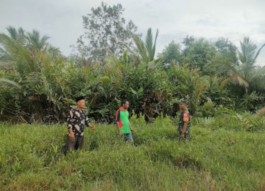 Babinsa Tebing Tinggi Barat Intensifkan Patroli Cegah Karhutla, Tidak Ditemukan Titik Api