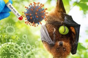 Waspada Virus Nipah, Dinas PKH Riau Perketat Pengawasan dan Sistem Deteksi Dini